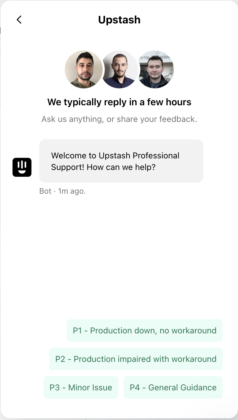 Start a professional support chat